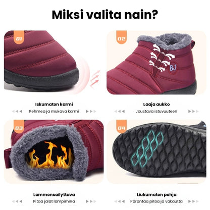 Erittain lammin talvikengat