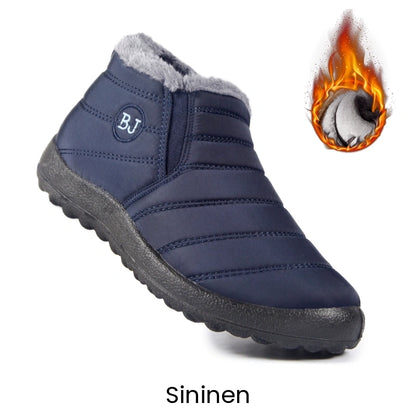 Erittain lammin talvikengat