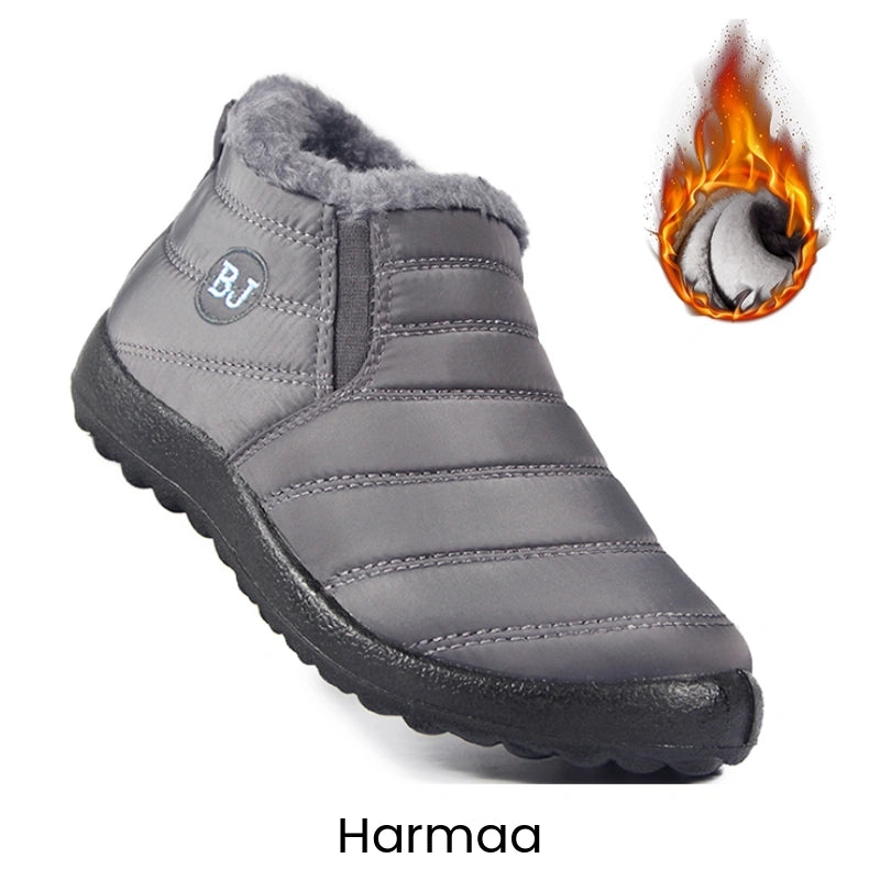 Erittain lammin talvikengat