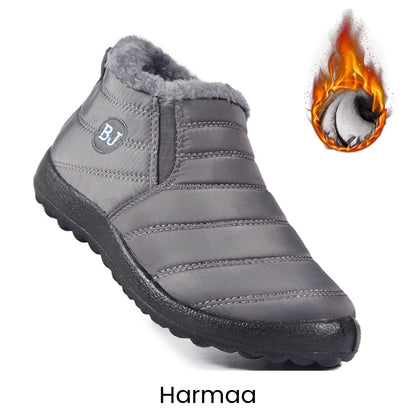 Erittain lammin talvikengat