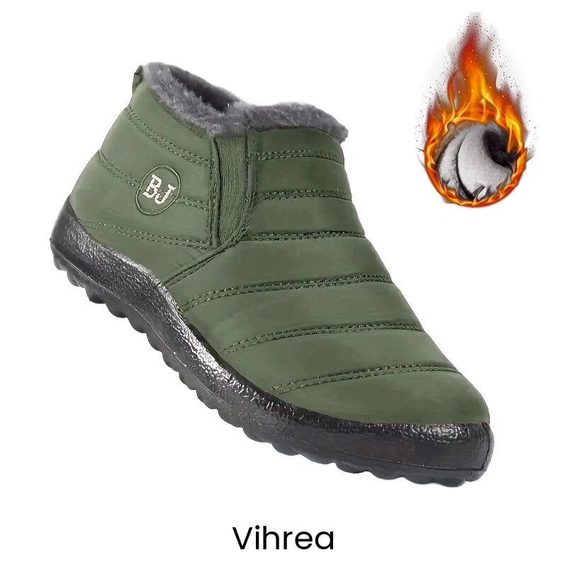 Erittain lammin talvikengat
